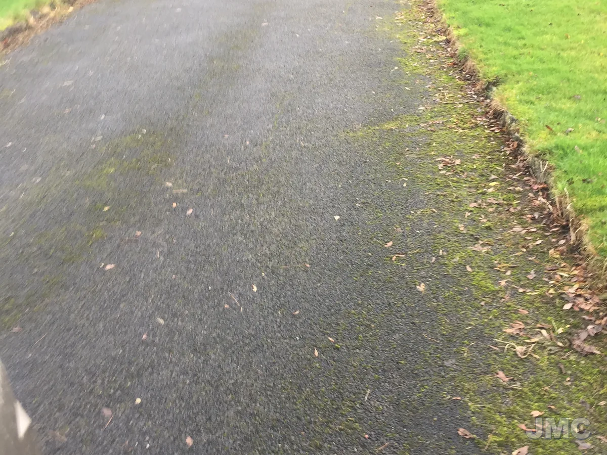 Before: Farmhouse avenue, moss lifted
