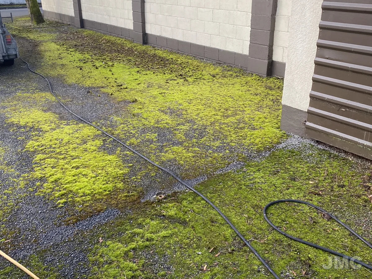 Before: Moss-covered gravel drive, back to clean stone