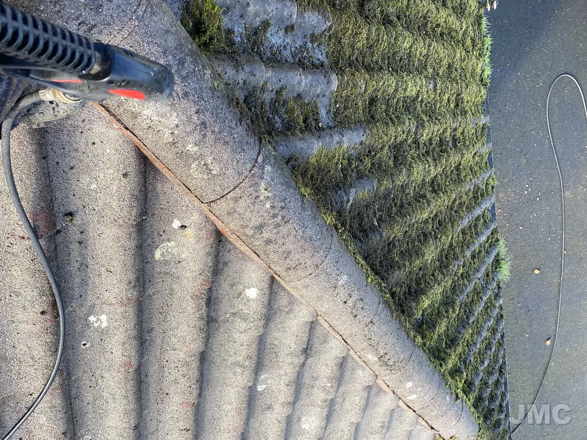 Before: Ridge tiles, moss removed