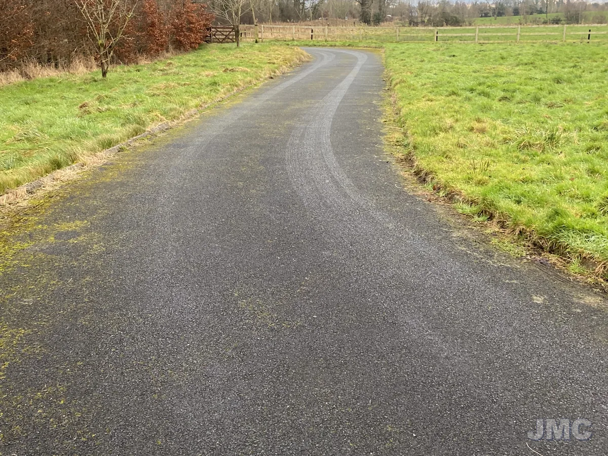 Before: Long avenue drive, moss scraped and washed