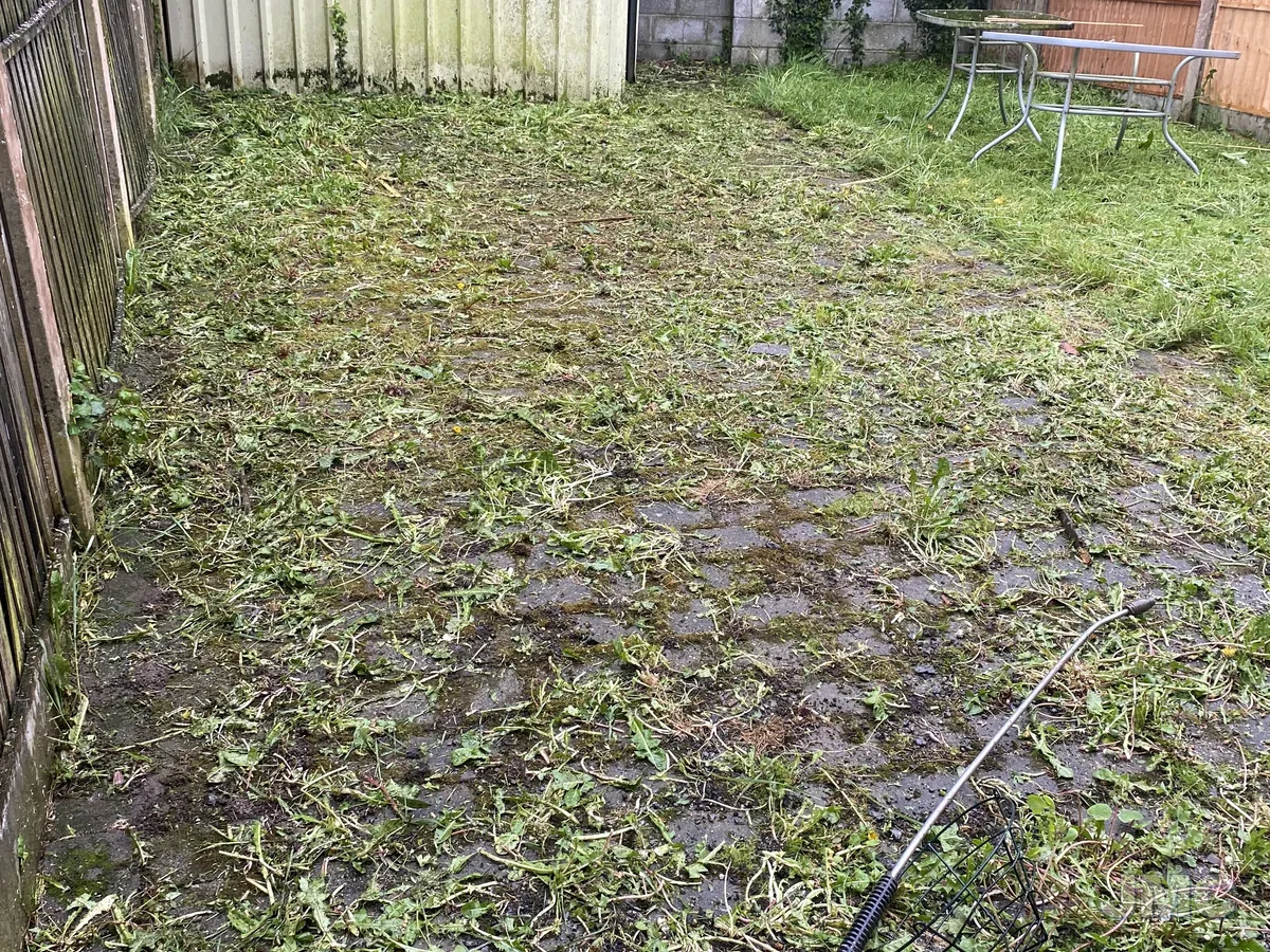Before: Cobble patio uncovered from the moss