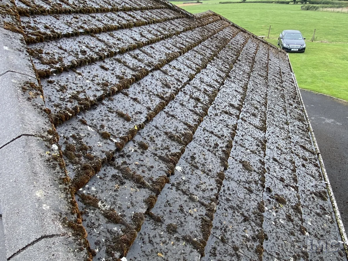 Before: Roof edge, moss removed from every course