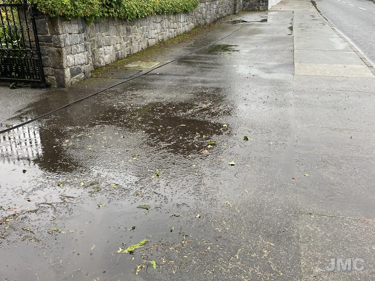 Before: Drive and path, leaves and green lifted