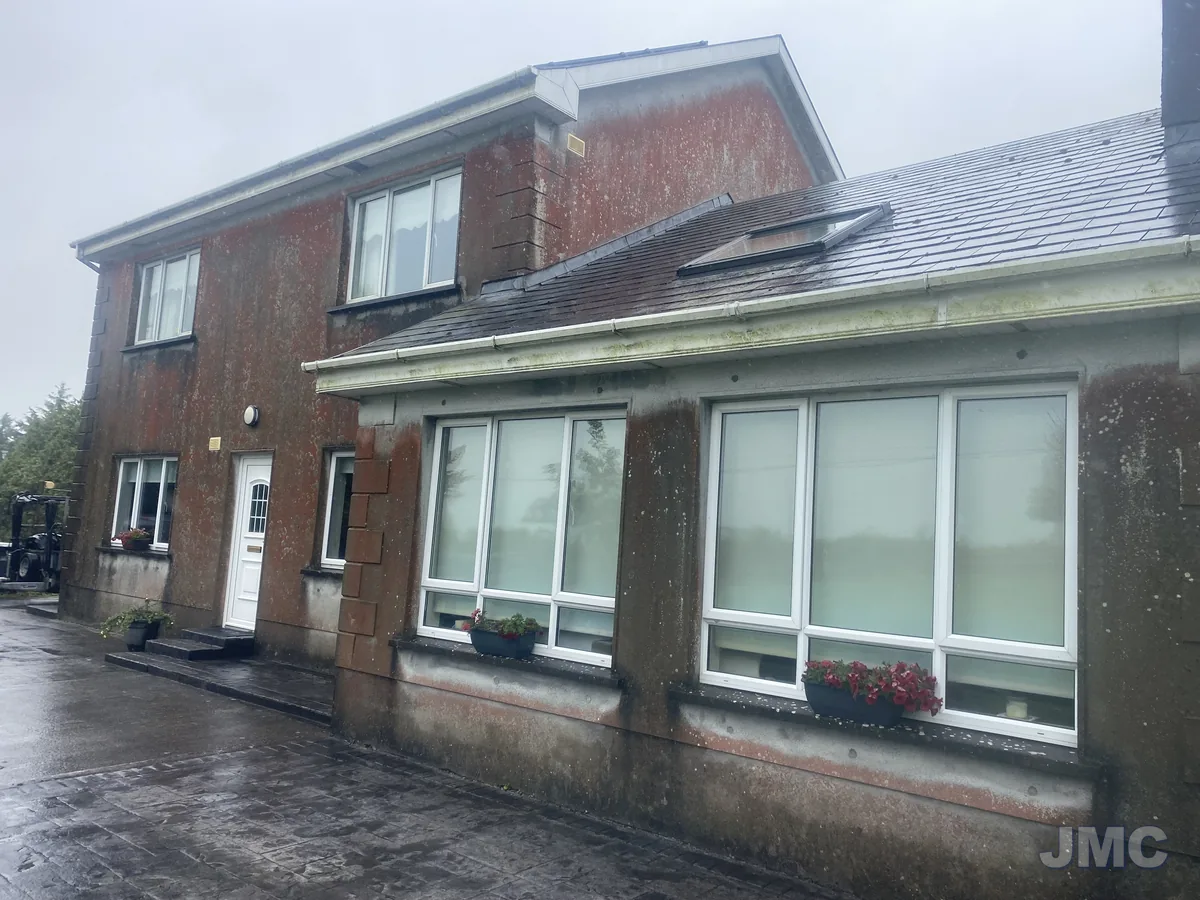 Before: Red algae removed from a rendered house
