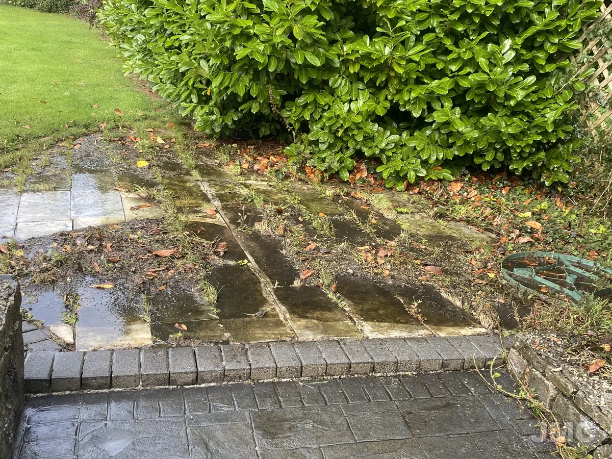 Before: Stone paving and steps cleaned