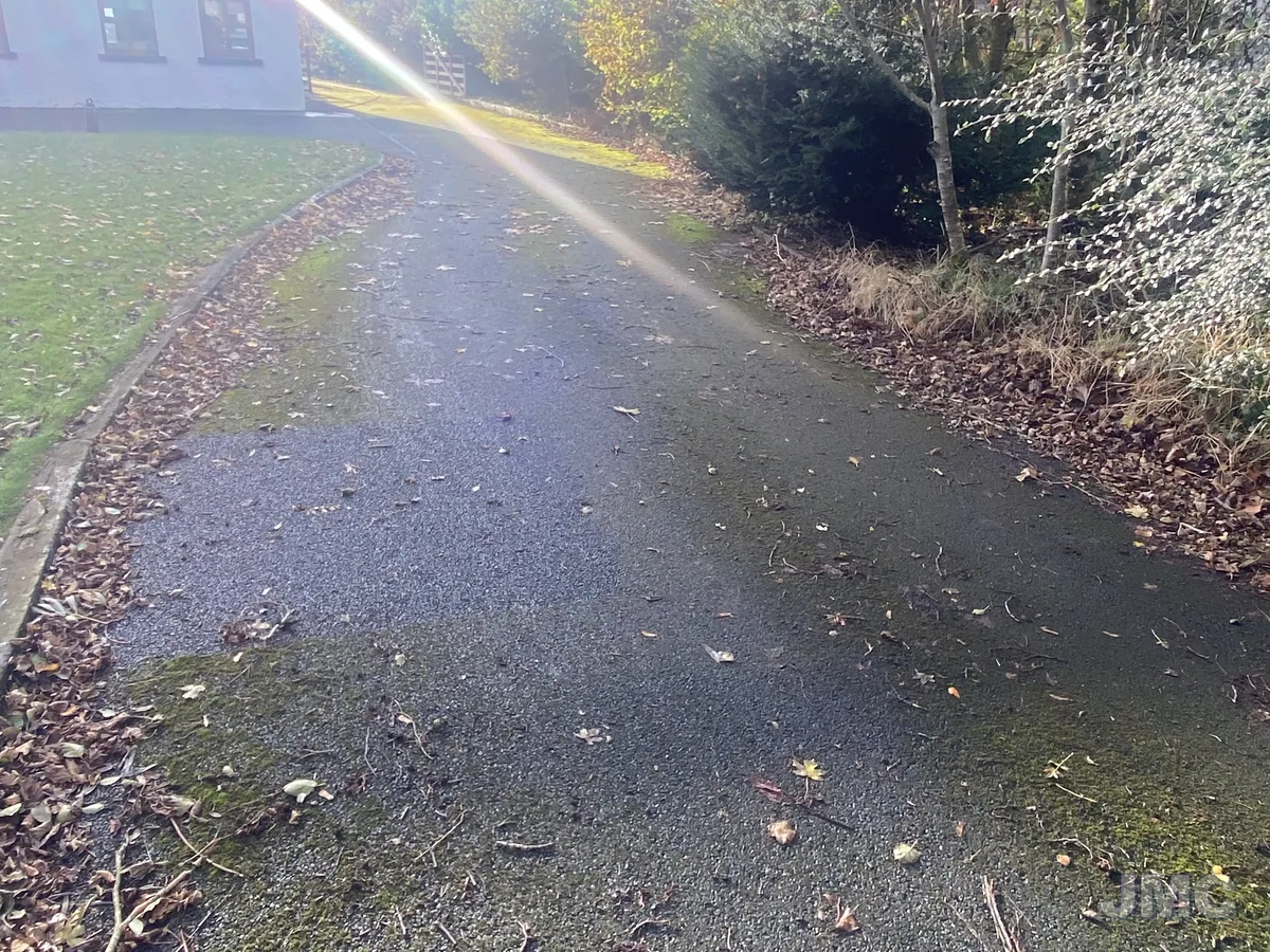 Before: Avenue under the trees, algae removed