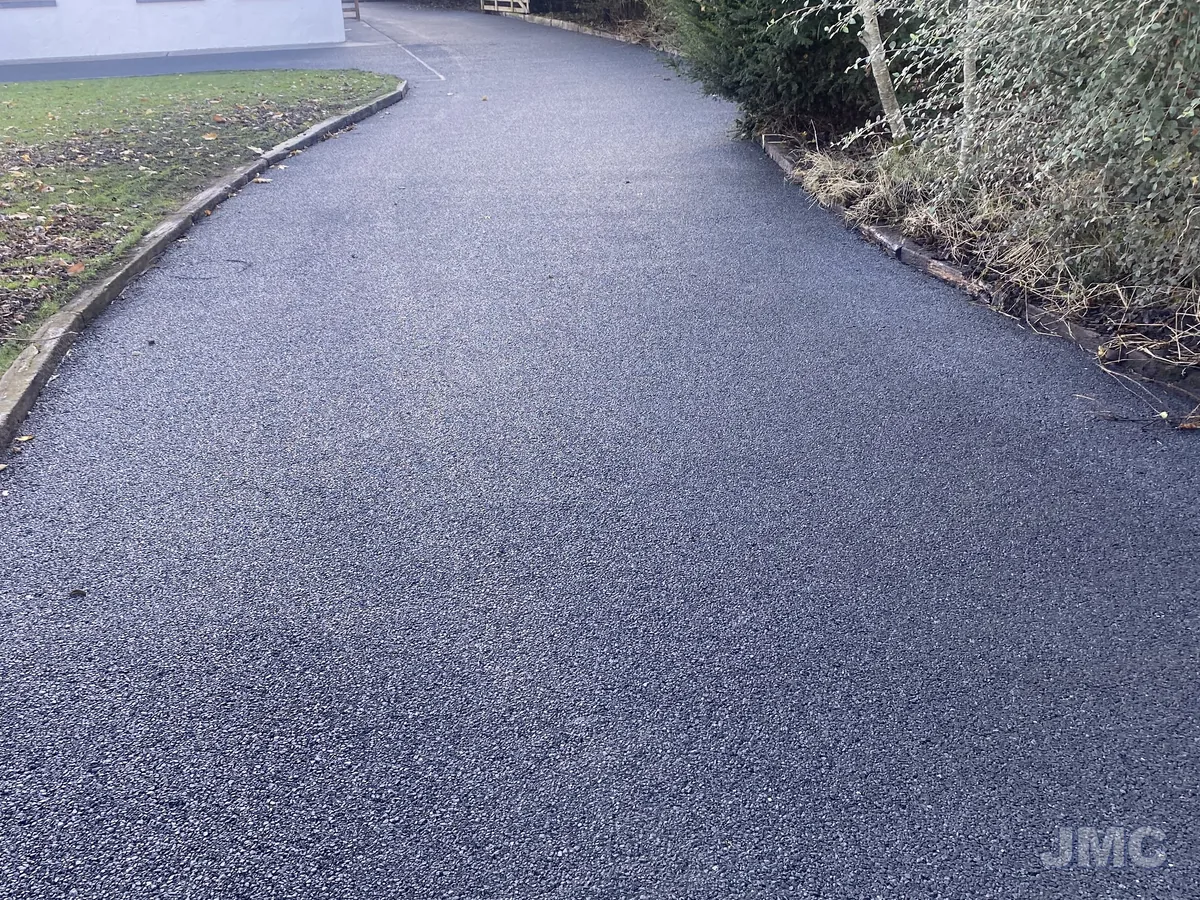 After: Avenue under the trees, algae removed