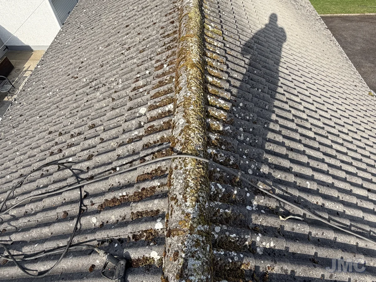 Before: Ridge and tiles scraped and washed